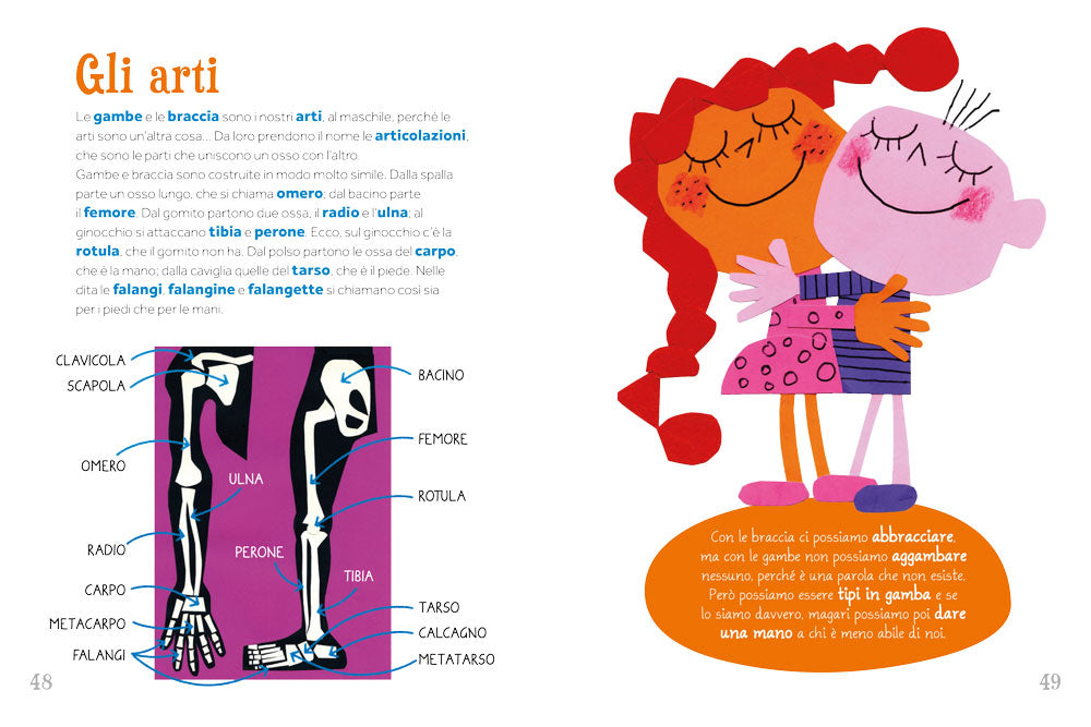 Dalla testa ai piedi. Sopra sotto dentro fuori il corpo umano