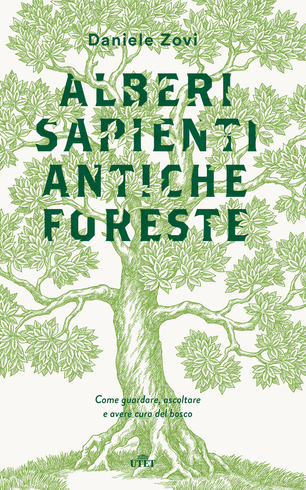 Alberi sapienti antiche foreste. Come guardare, ascoltare e avere cura del bosco. Con ebook.