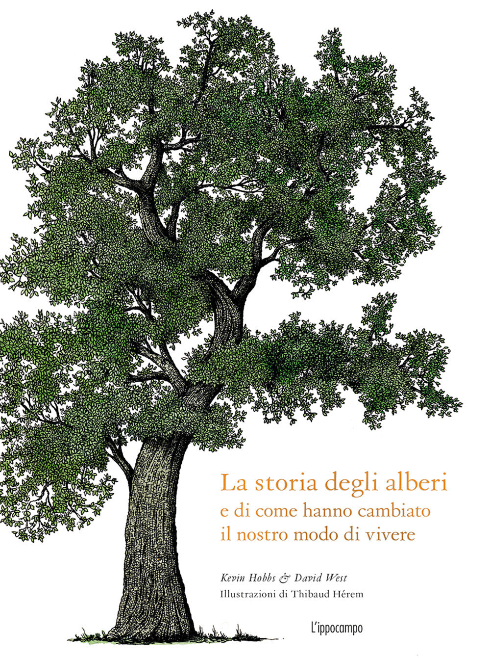La storia degli alberi e di come hanno cambiato il nostro modo di vivere.