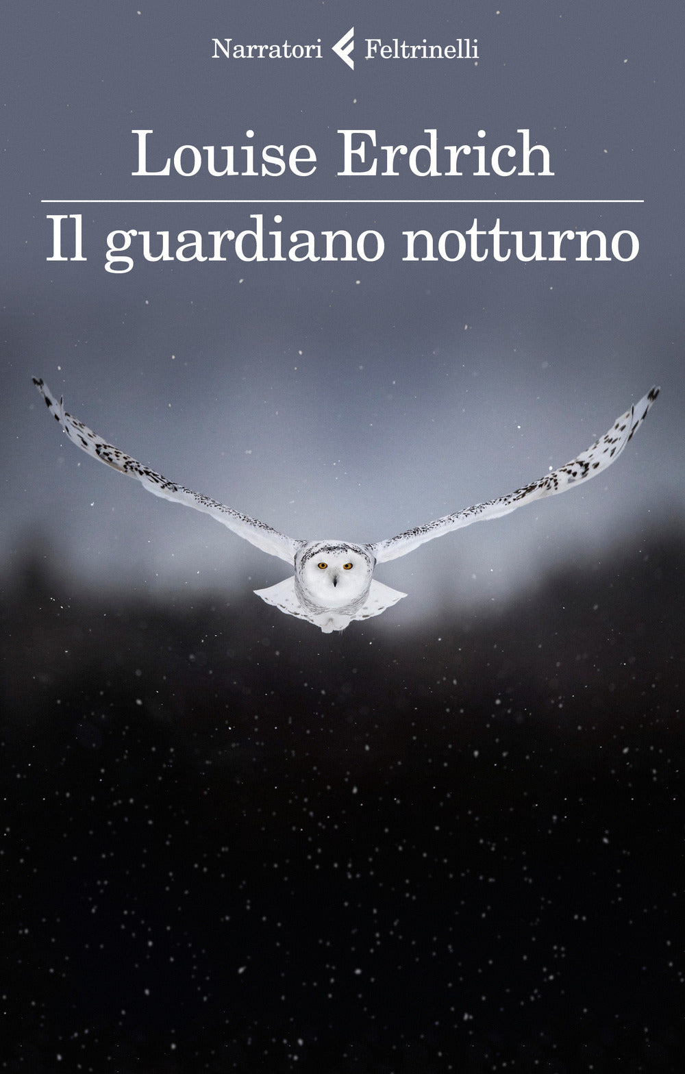 Il guardiano notturno.