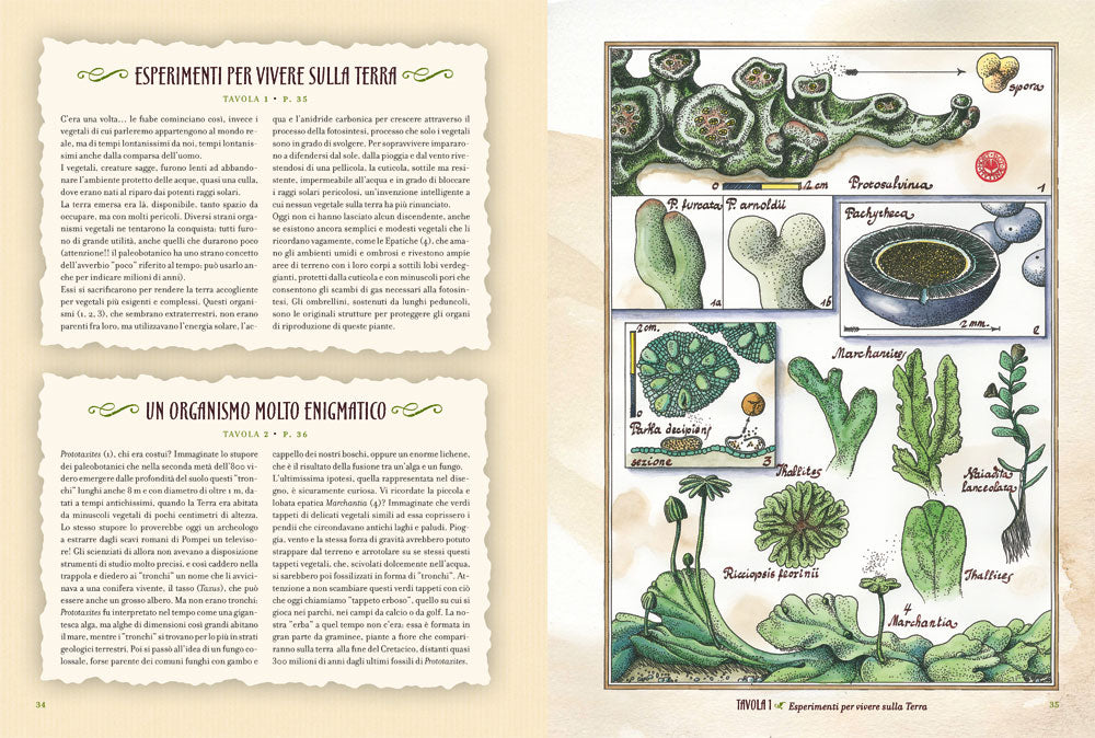 Le isole del tempo. Avventure nel mondo verde preistorico