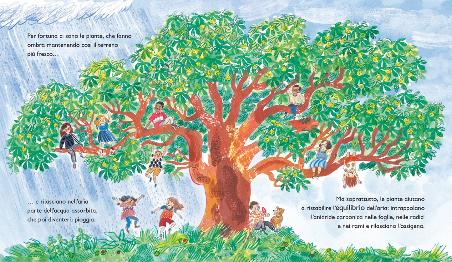 Verde. Il mondo segreto delle piante