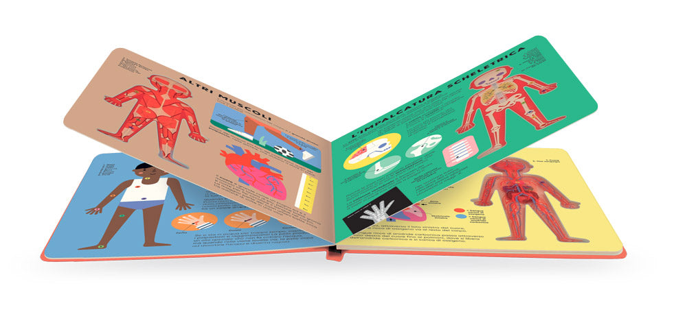 Il corpo umano. Guarda attraverso le pagine trasparenti e scopri il fantastico funzionamento del corpo umano!