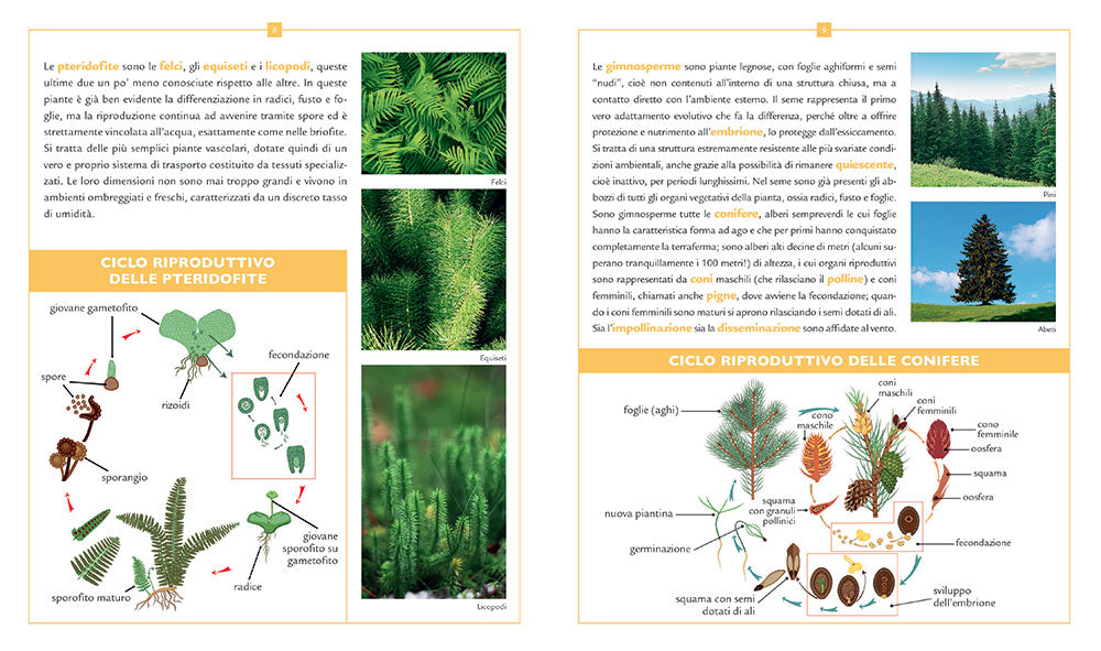 Piante, alberi e fiori
