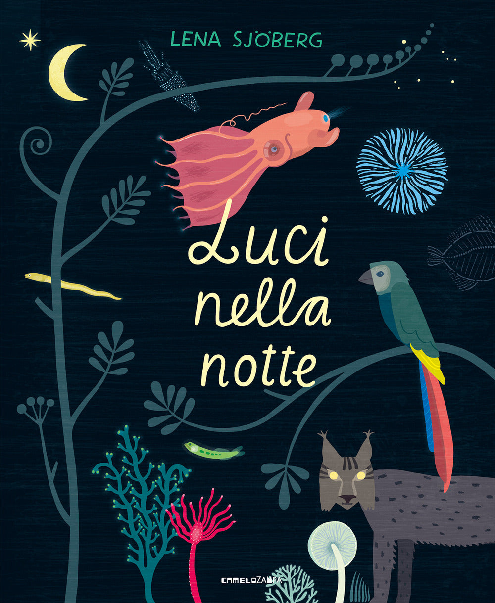 Luci nella notte.