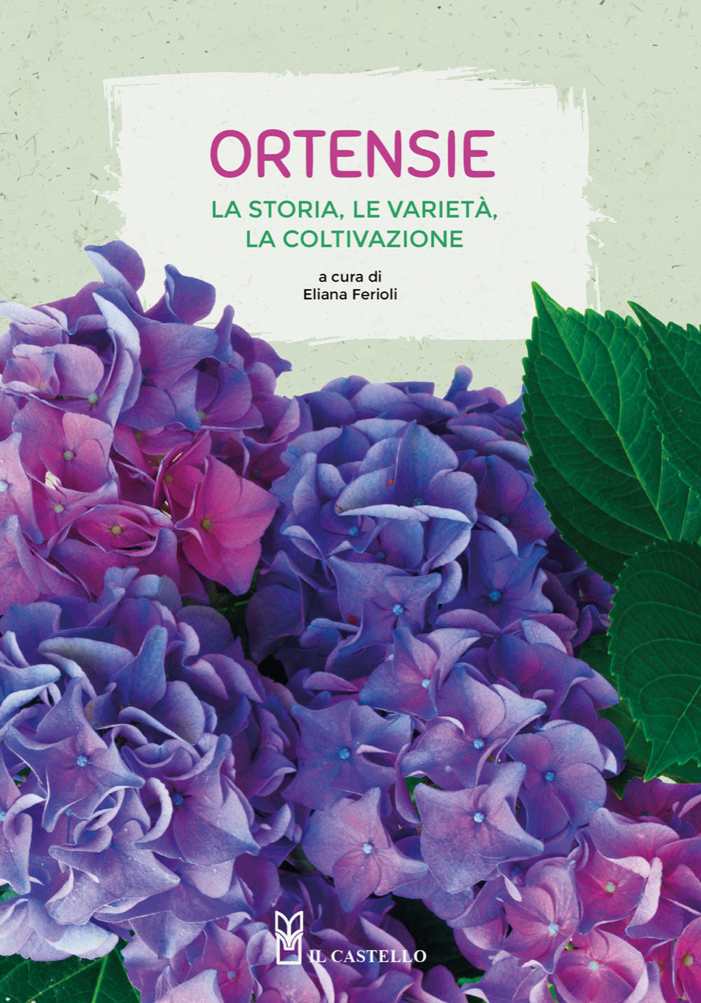 Ortensie. La storia, le varietà, la coltivazione.