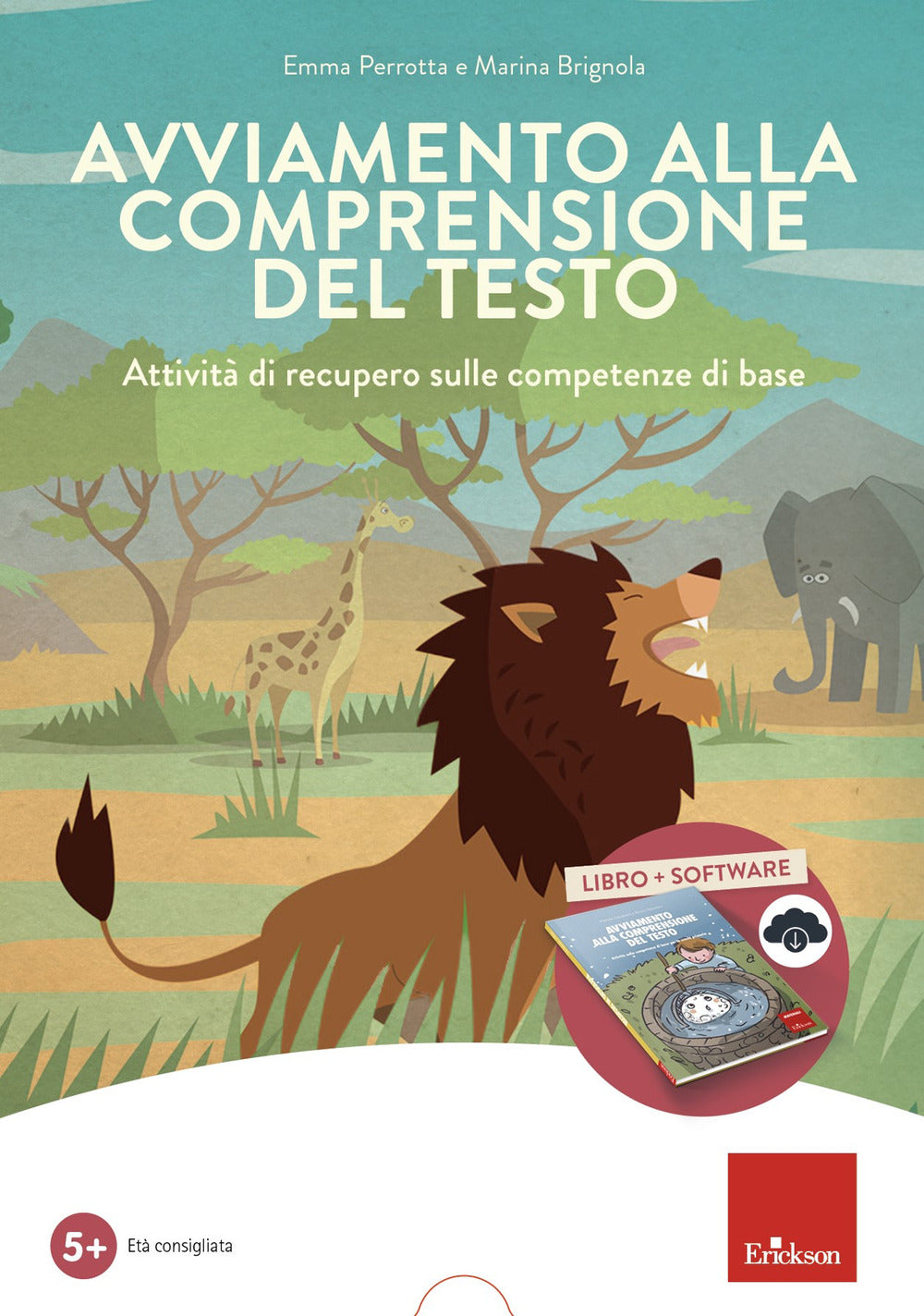 Avviamento alla comprensione del testo. Attività di recupero sulle competenze di base. Kit. Con software.