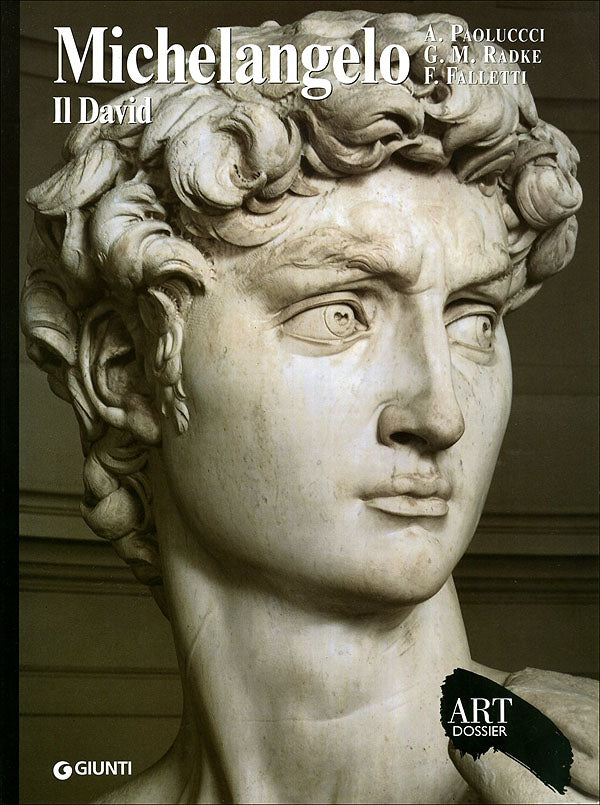 Michelangelo. Il David