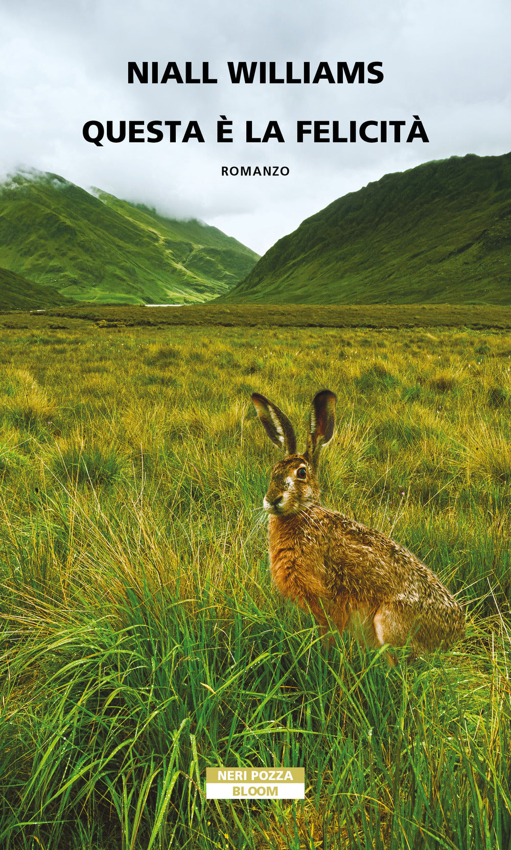 Questa è la felicità.