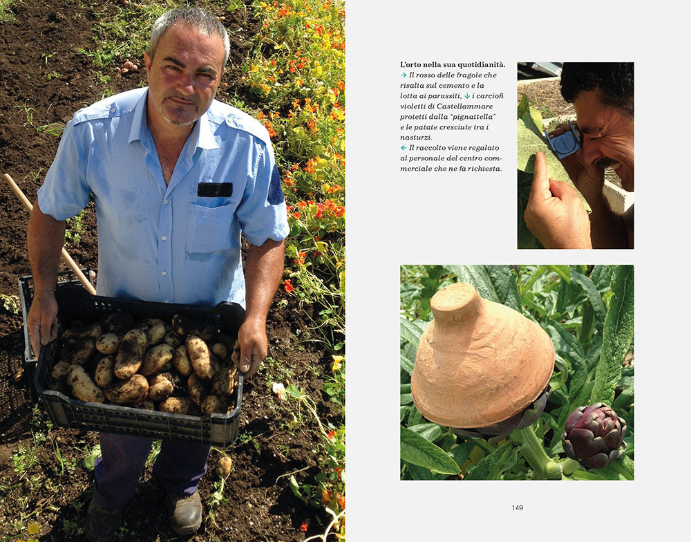 Un Orto al Centro. Educare alla sostenibilità