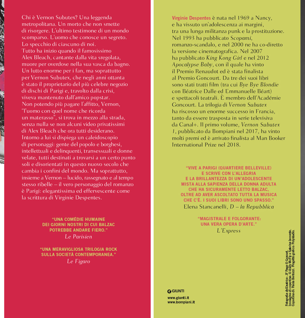 Trilogia della città di Parigi. Vernon Subutex
