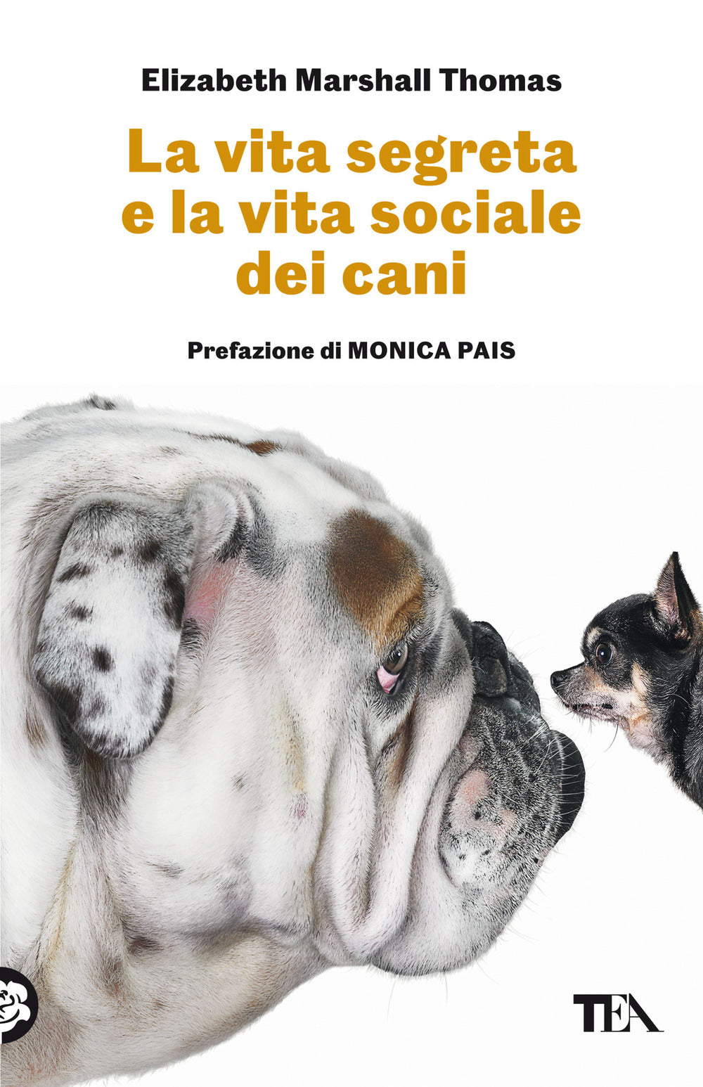 La vita segreta e la vita sociale dei cani.
