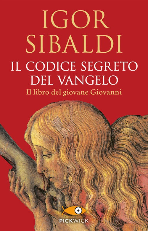 Il codice segreto del Vangelo. Il libro del giovane Giovanni.