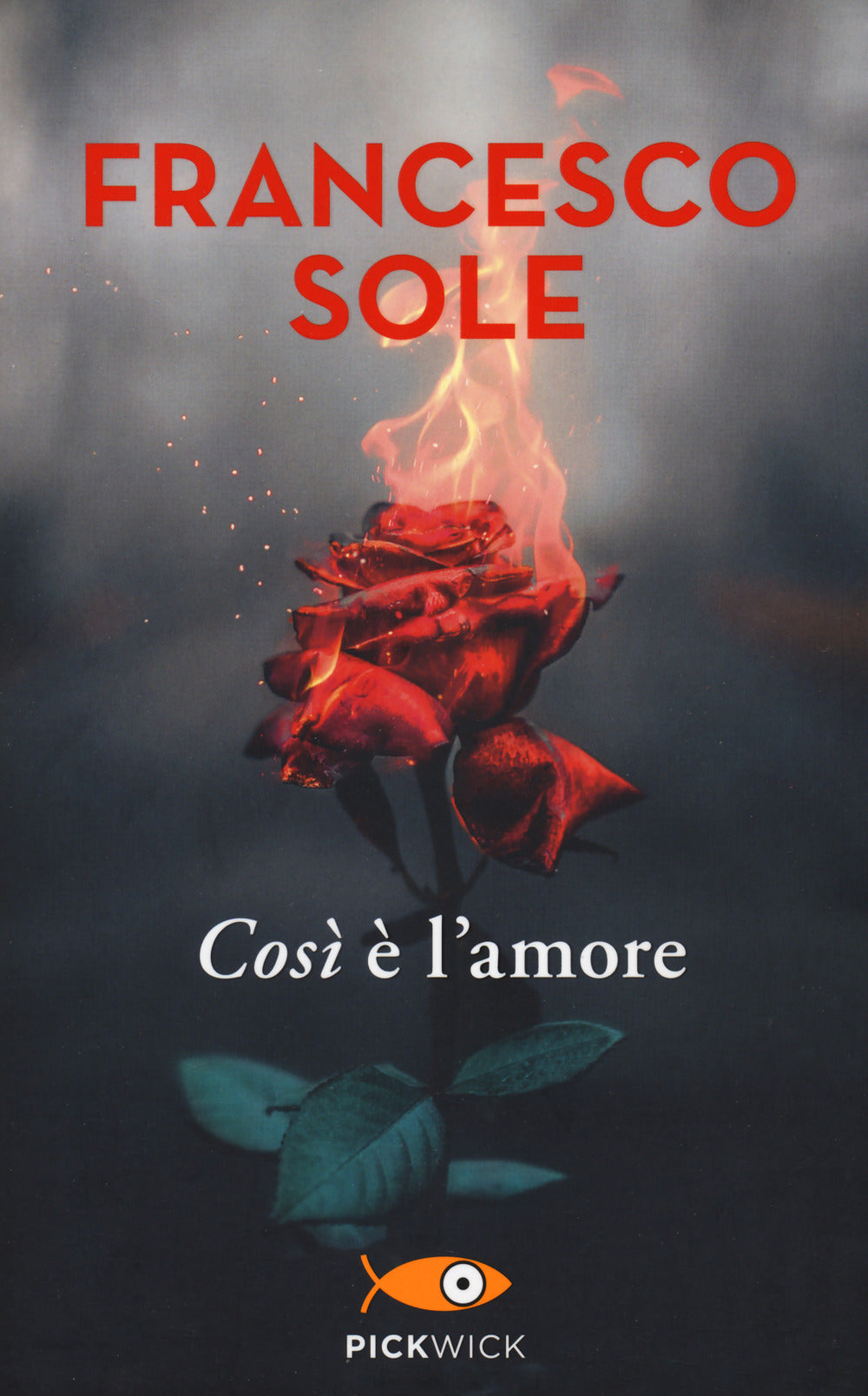 Il segreto della donna più felice del mondo: libro di Francesco Sole