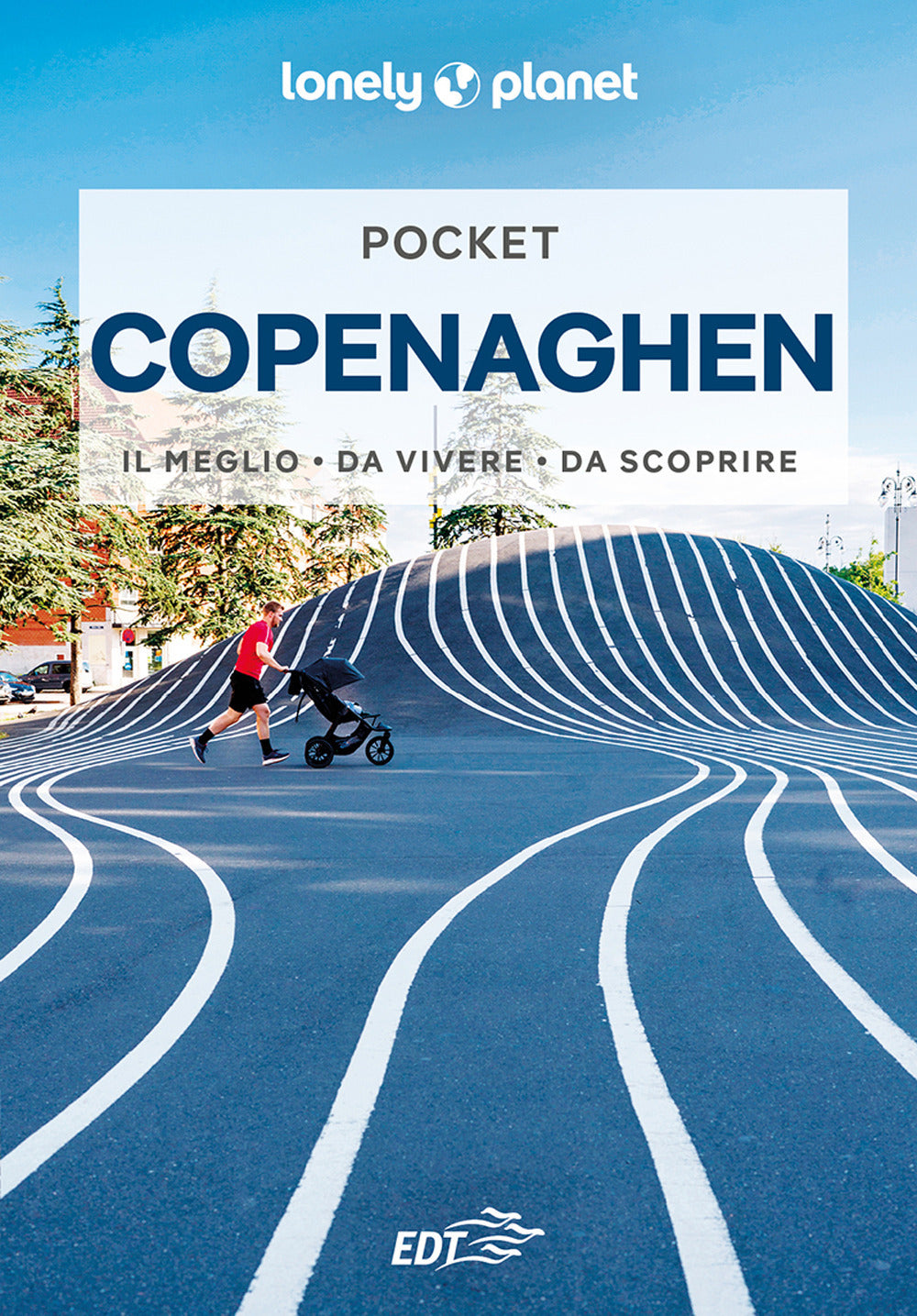 Copenaghen Pocket. Con carta estraibile