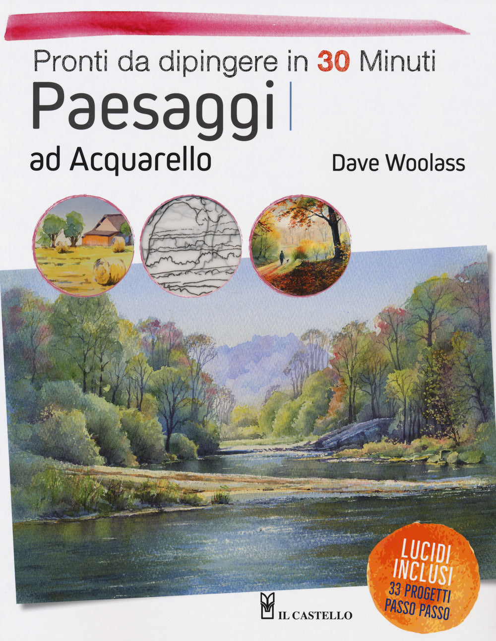 SET 24 PASTELLI ACQUERELLABILI ARTS + 1 PENNELLO AQUASH WATER BRUSH PENTEL - DALMASSO 24 SET 24 PASTELLI ACQUERELLABILI ARTS + 1 PENNELLO AQUASH WATER BRUSH PENTEL - DALMASSO 24