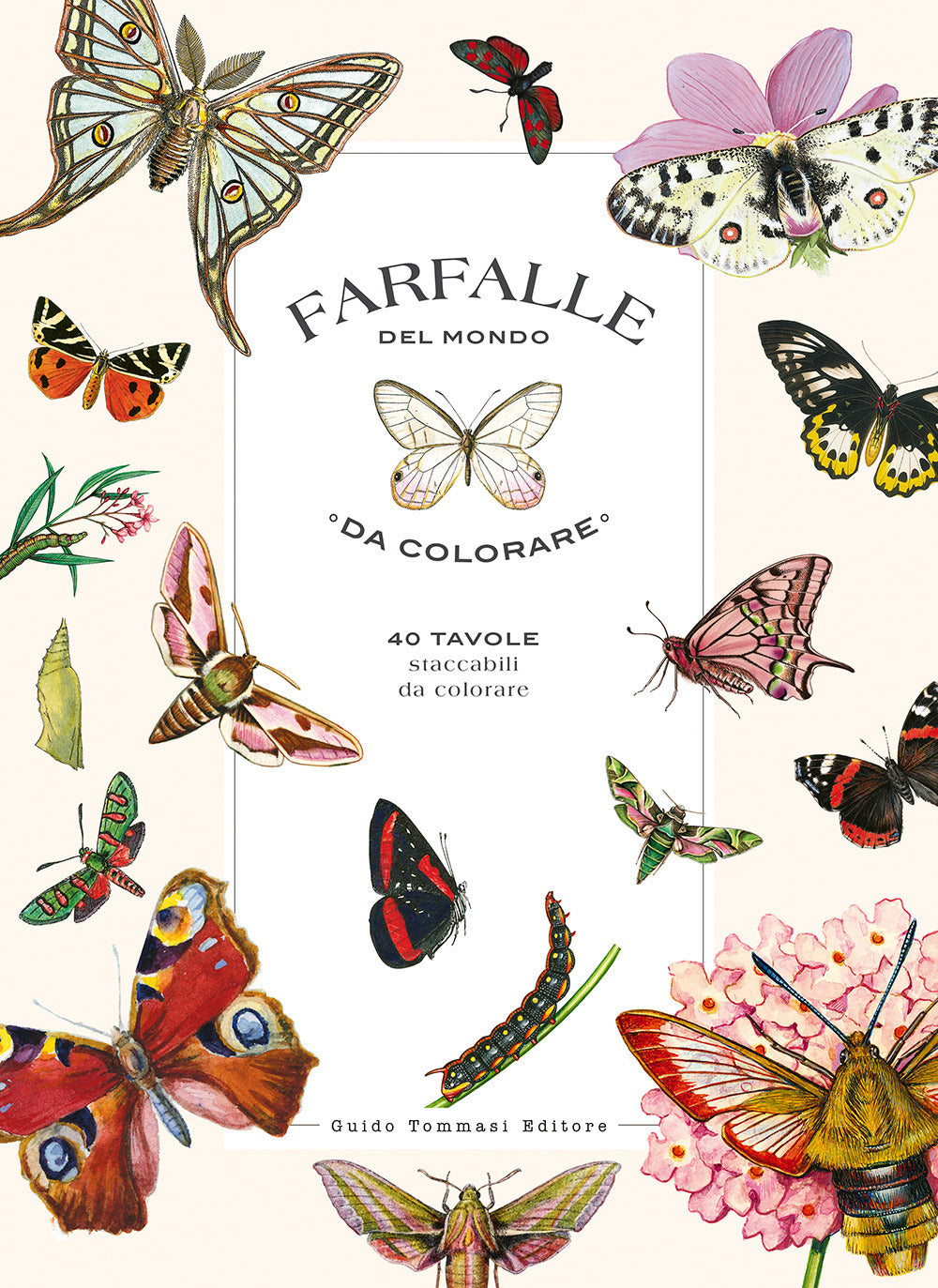 Farfalle del mondo da colorare