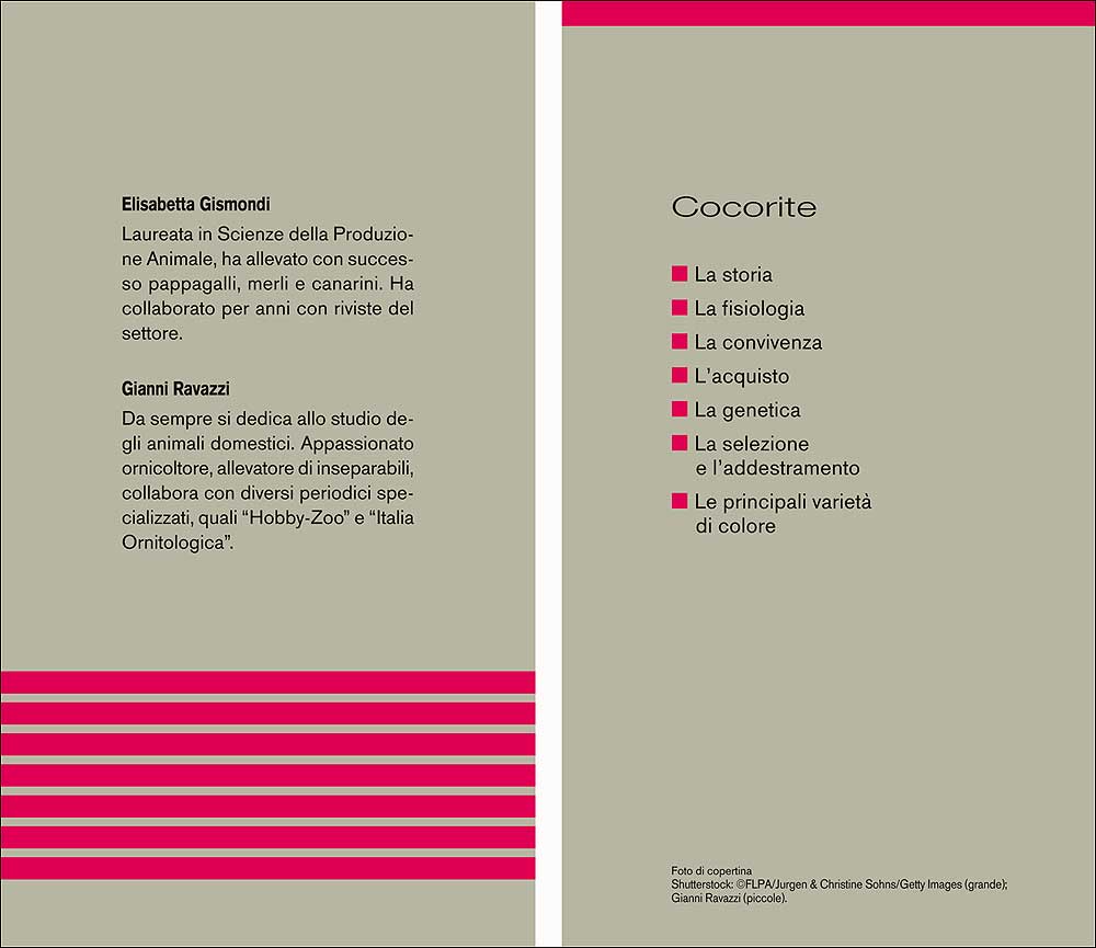 Cocorite. Caratteristiche - Comportamento - Allevamento - Riproduzione - Alimentazione - Igiene - Salute