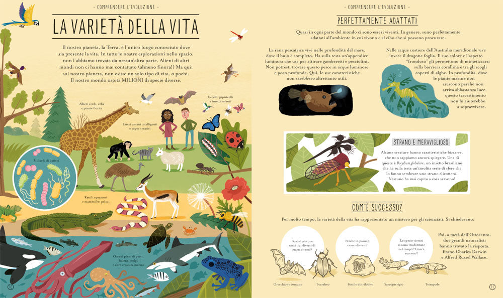 Meravigliosa evoluzione. Il viaggio della vita