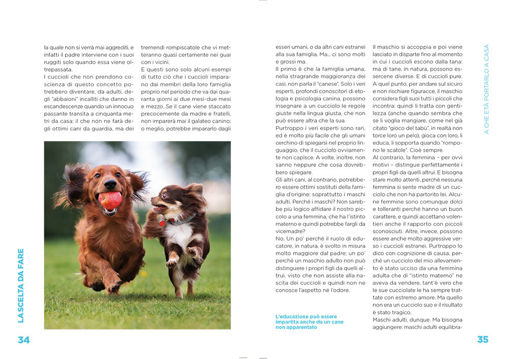 Arriva un cucciolo! . che cosa sapere e che cosa fare per accogliere il tuo nuovo amico