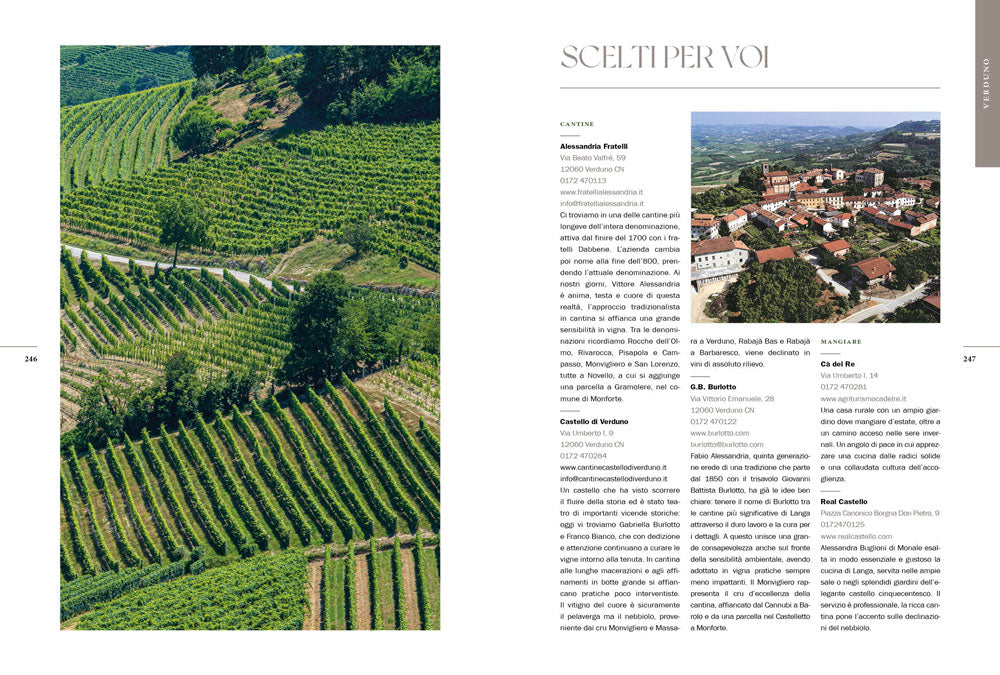 Atlante delle vigne di Langa. I grandi cru del Barolo e del Barbaresco