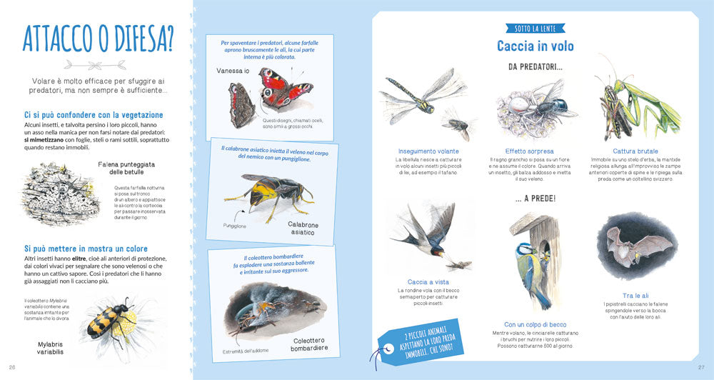 Il grande mondo degli animali piccoli. Osserva e scopri gli invertebrati