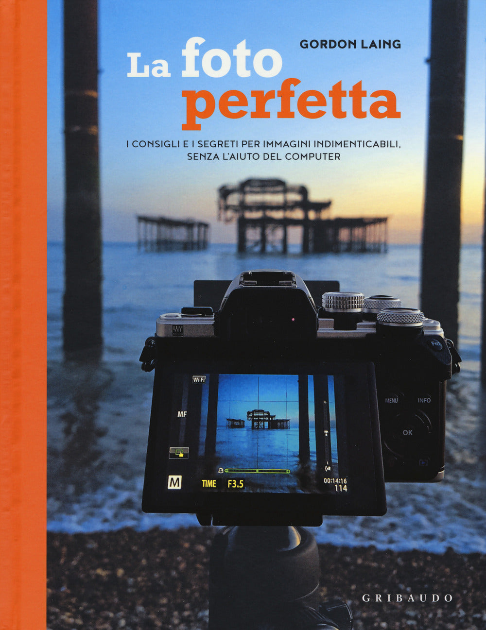 La foto perfetta. I consigli e i segreti per immagini indimenticabili, senza l'aiuto del computer.