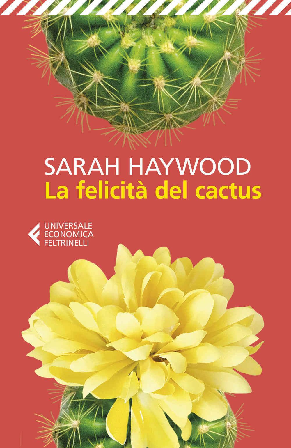 La felicità del cactus.