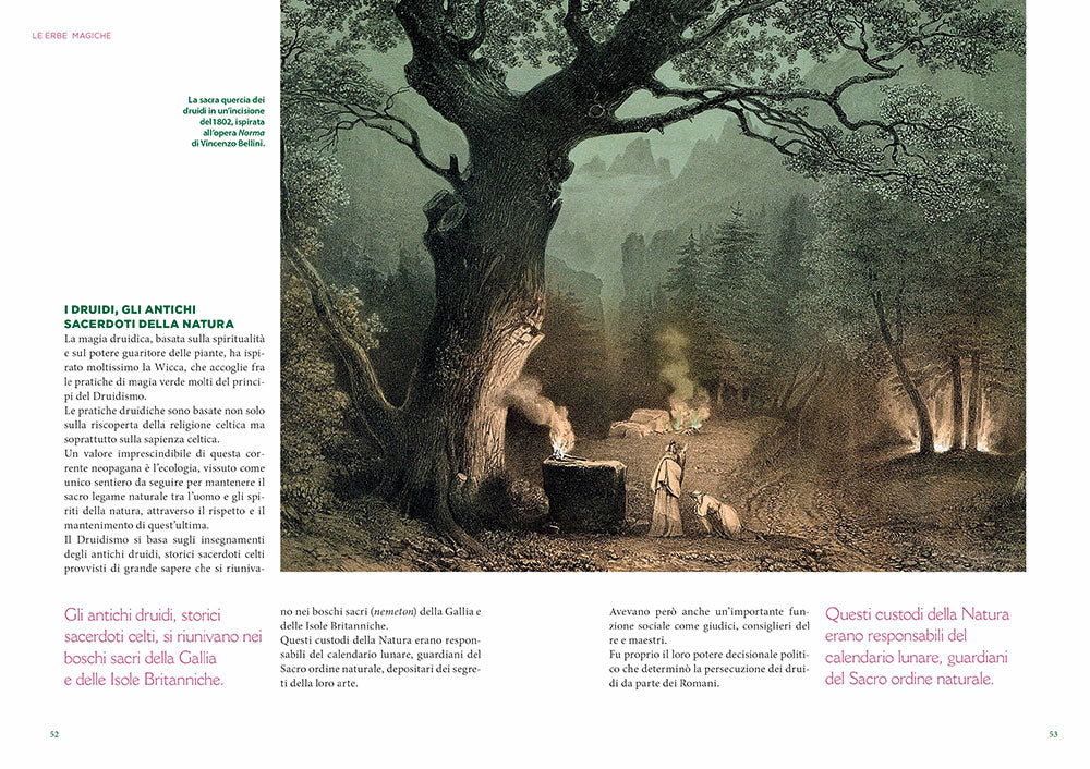 L'erbario della wicca. piante magiche, incantesimi e rituali