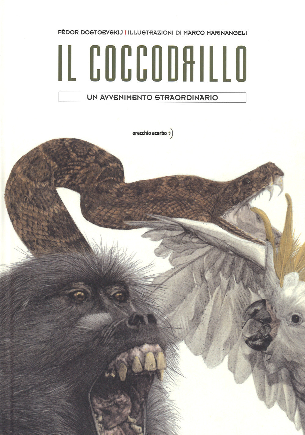 Il coccodrillo. Un avvenimento straordinario. Ediz. a colori.