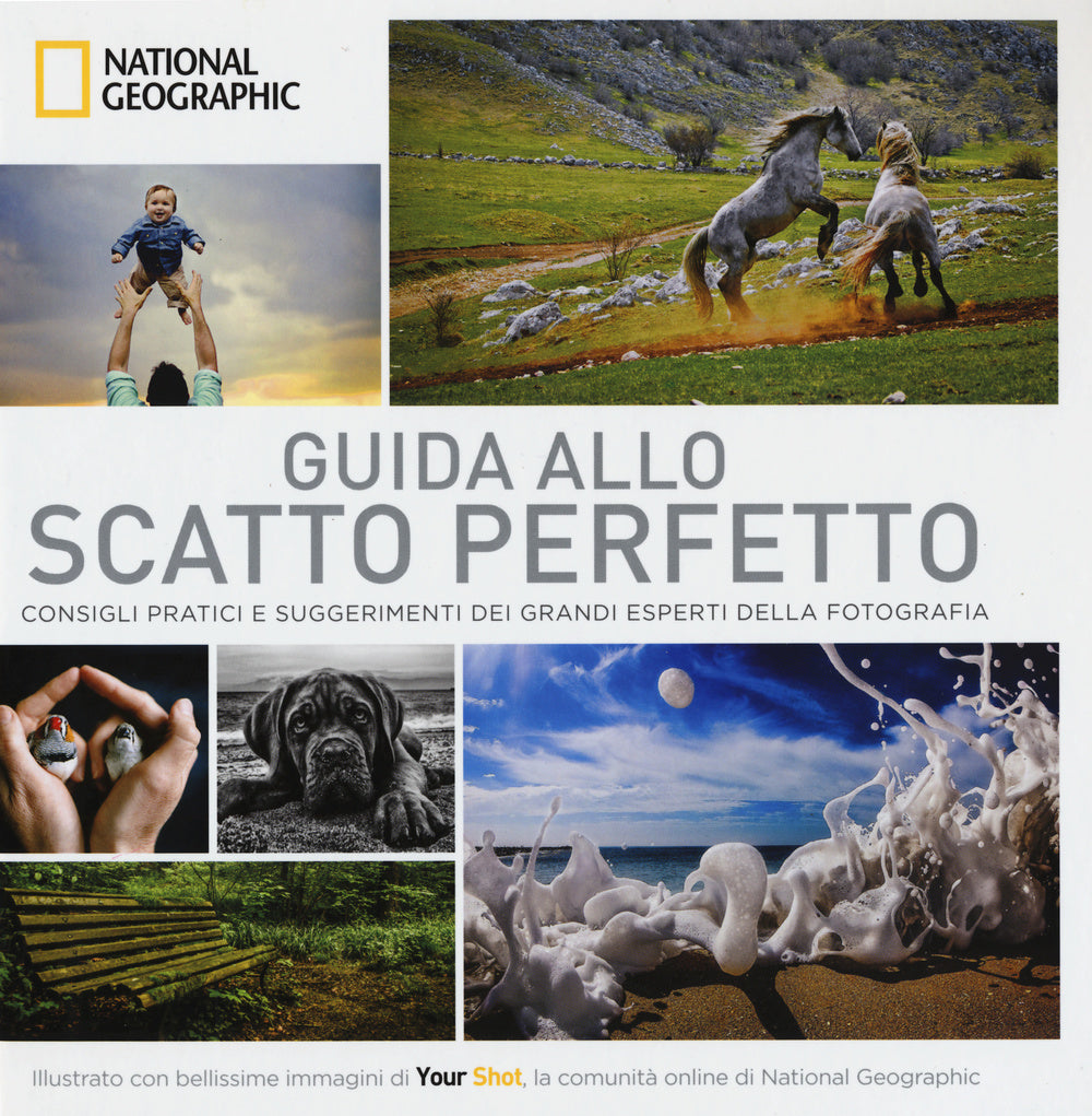 Guida allo scatto perfetto. Consigli pratici e suggerimenti dai grandi esperti della fotografia. Ediz. illustrata.