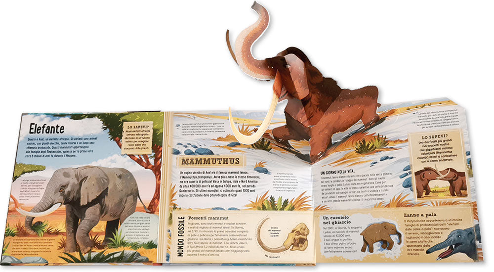 Bestie preistoriche pop-up. Scopri 7 incredibili animali del passato in versione pop-up!