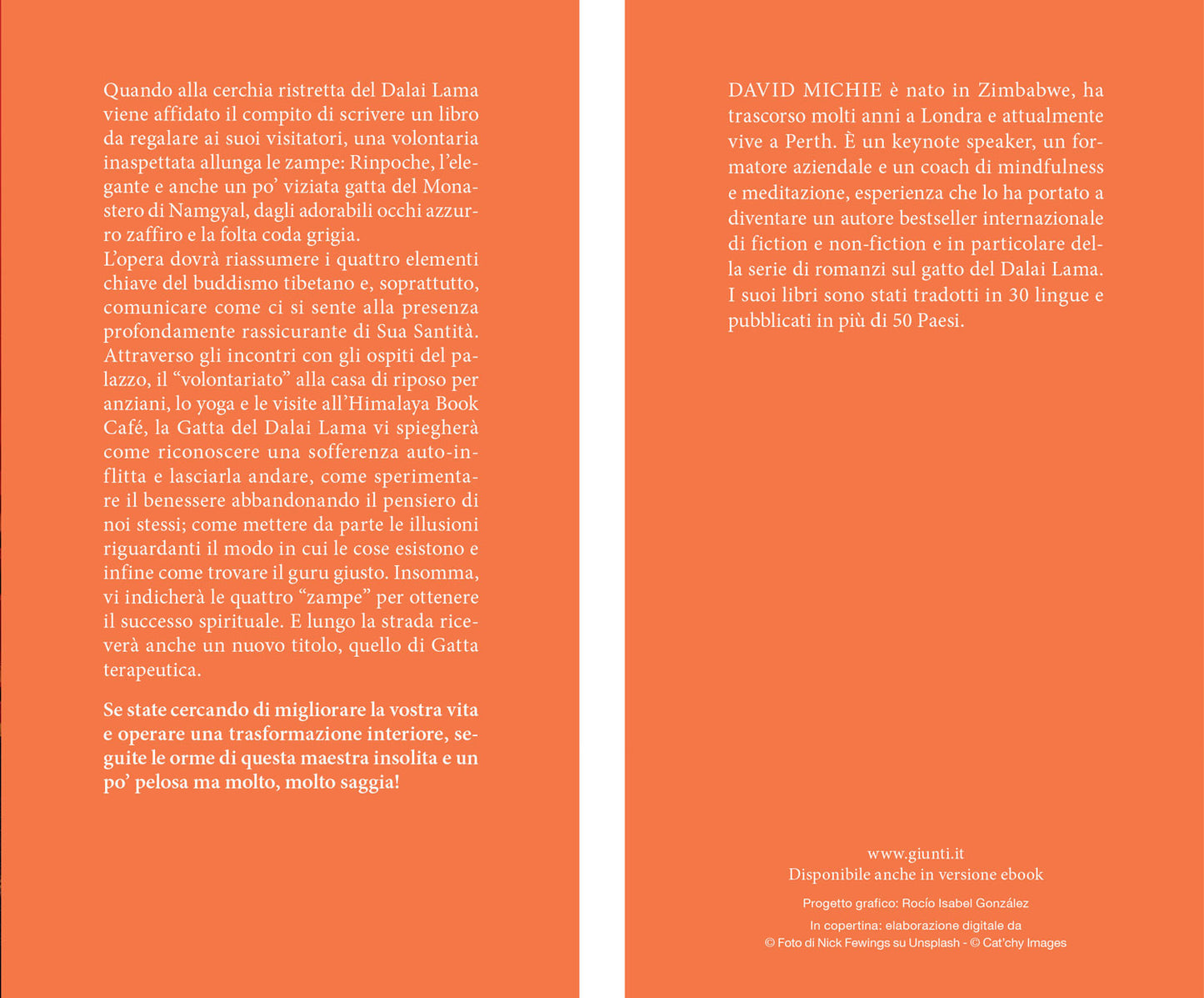 Il gatto zen e le quattro zampe del successo spirituale