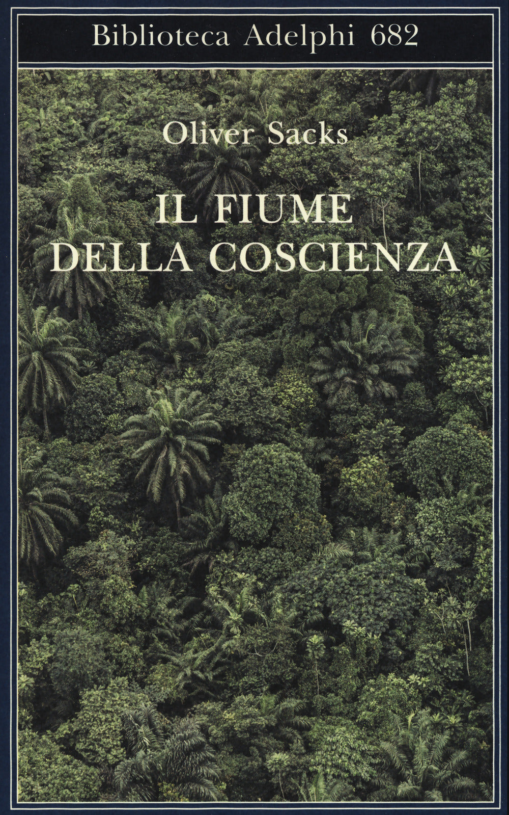 Il fiume della coscienza.
