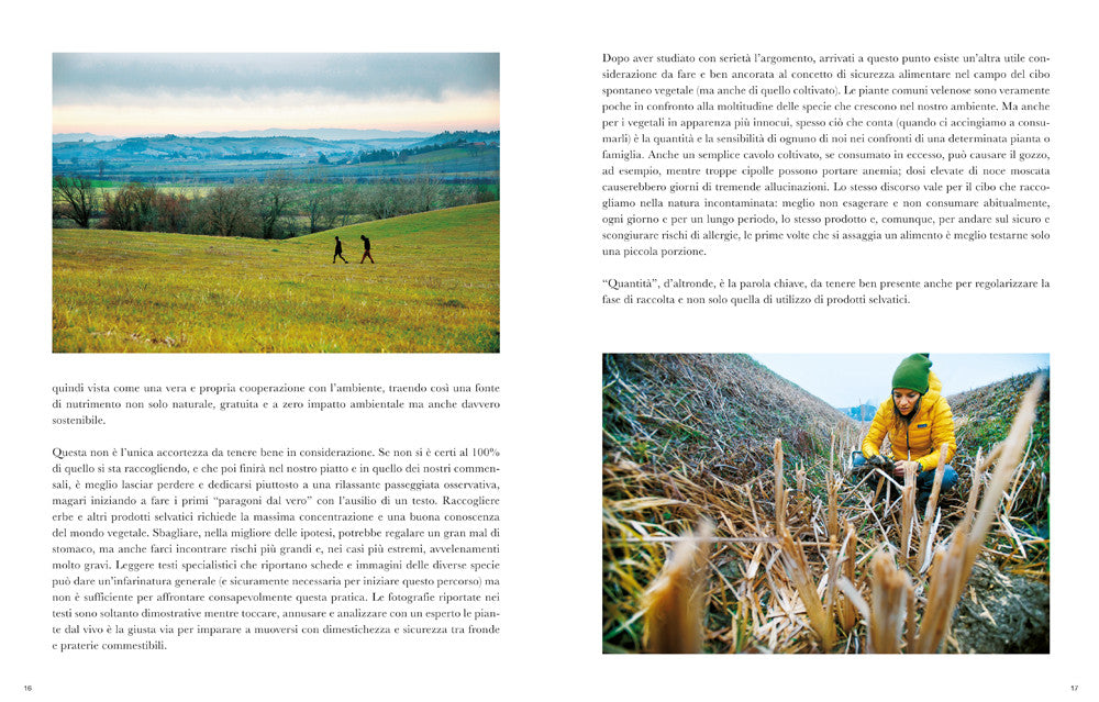 Imparare l'arte del foraging. Conoscere, raccogliere, consumare il cibo selvatico