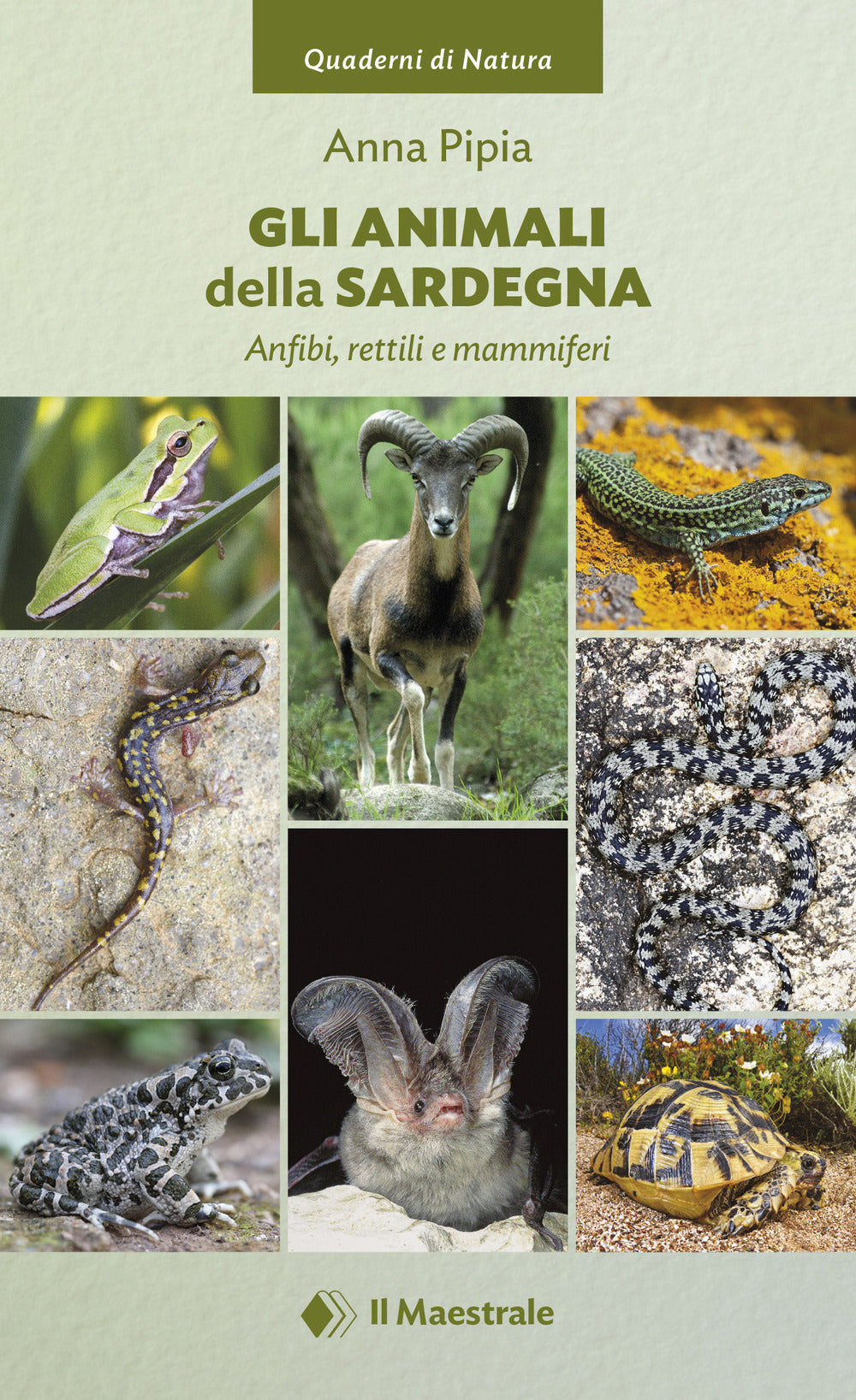 Gli animali della Sardegna. Anfibi, rettili e mammiferi.