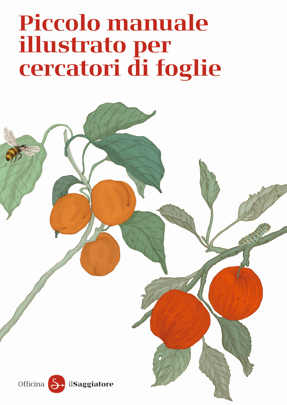 Piccolo manuale illustrato per cercatori di foglie. Ediz. a colori.