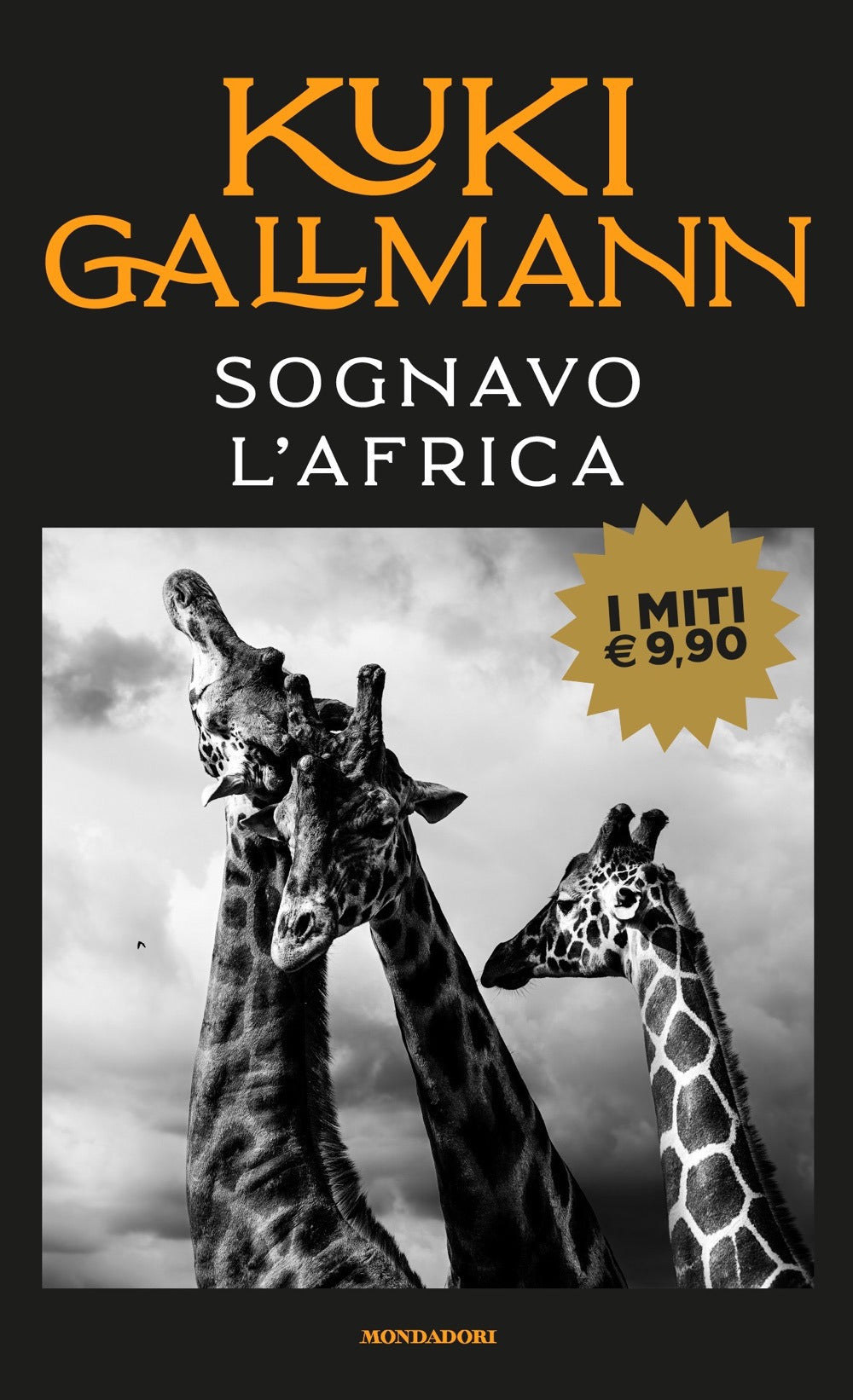 Sognavo l'Africa.