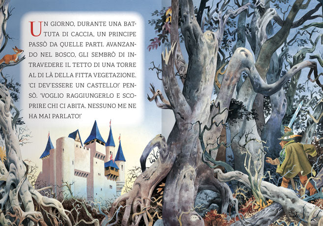 La Bella addormentata nel bosco