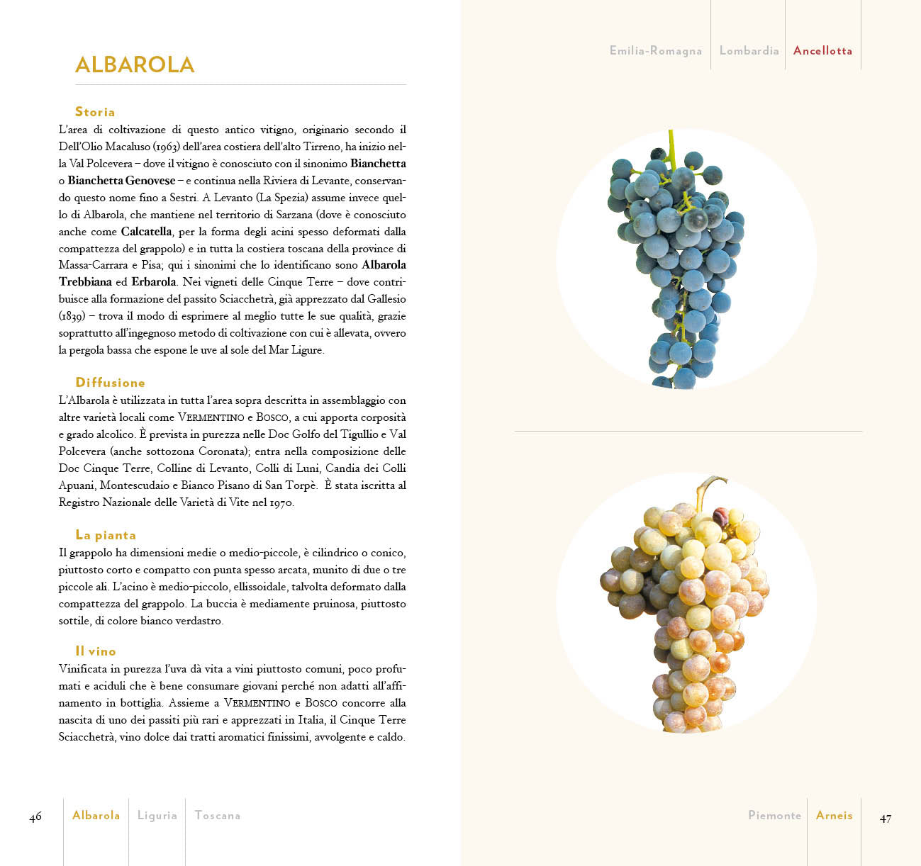 GUIDA AI VITIGNI D'ITALIA. STORIA E CARATTERISTICHE DI 750 VARIETA' AUTOCTONE