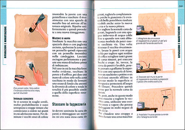 Tutto casa. 1000 consigli di sopravvivenza