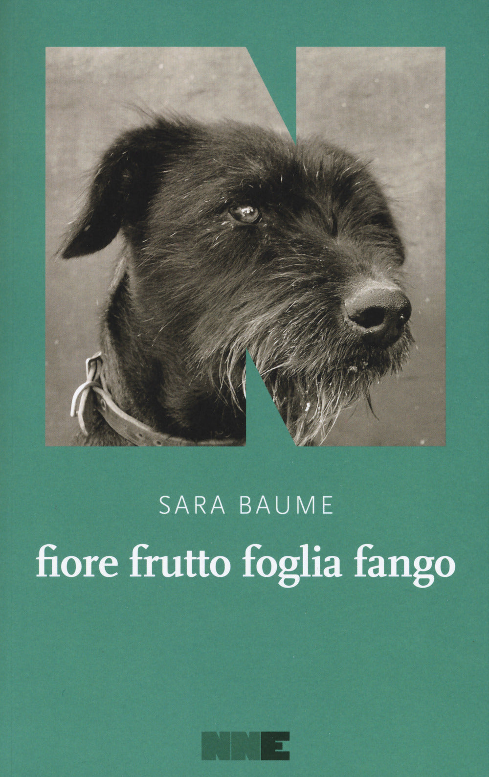 Fiore frutto foglia fango.