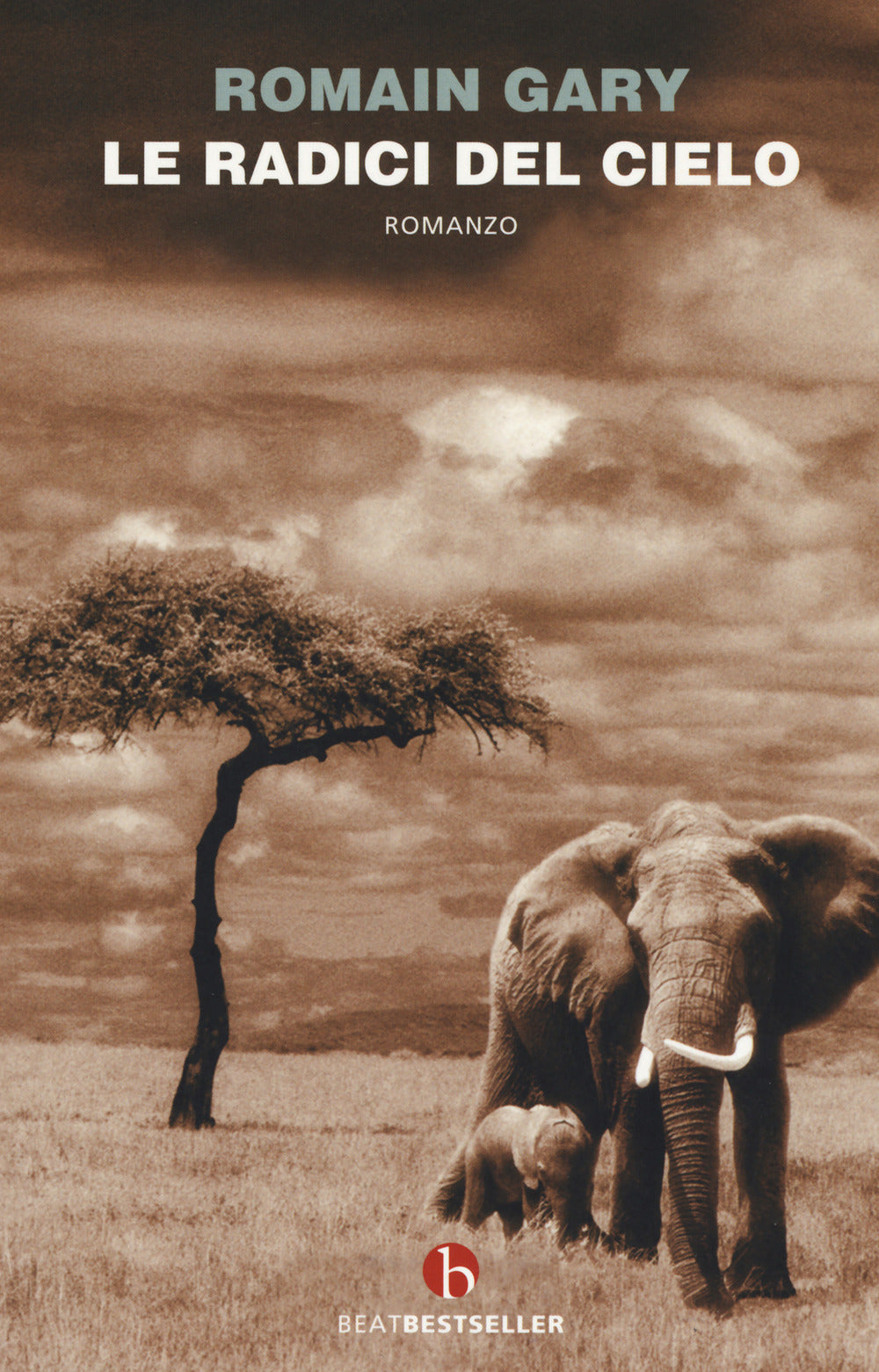 Le radici del cielo.