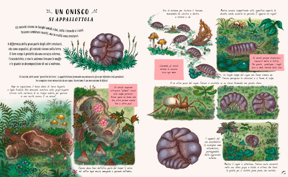 Piano piano... nel piccolo mondo. 20 Storie per fermarti ad ammirare i piccoli incanti della natura