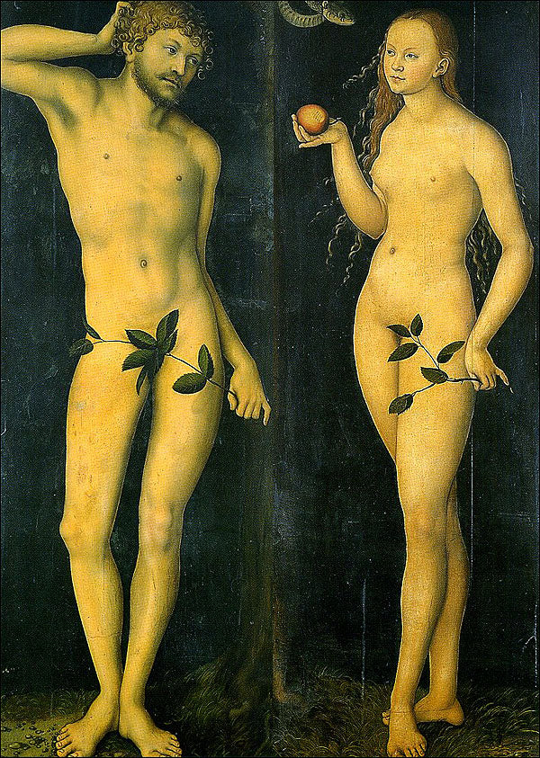 Cartolina. Firenze - Galleria degli Uffizi. Adamo ed Eva (1528)