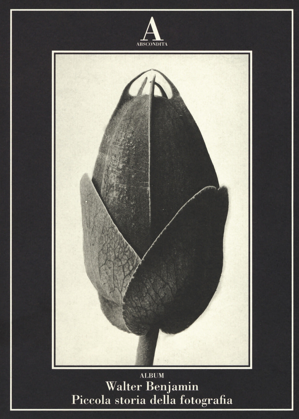 Piccola storia della fotografia. Ediz. illustrata.