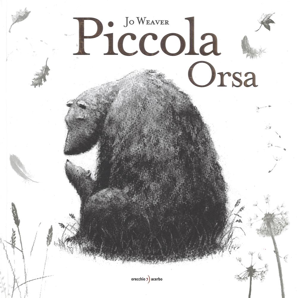 Piccola Orsa.