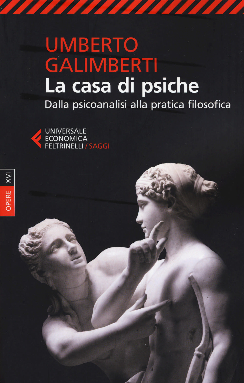 Opere. Vol. 16: La casa di psiche. Dalla psicoanalisi alla pratica filosofica.