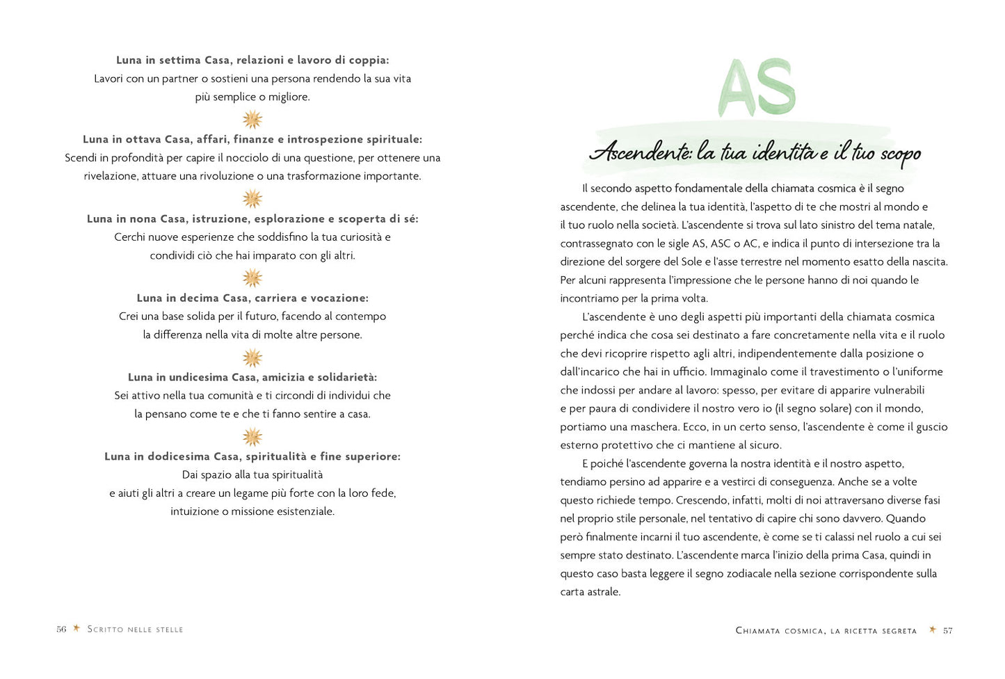 Scritto nelle stelle. Guida per trovare il lavoro della vita con l'astrologia