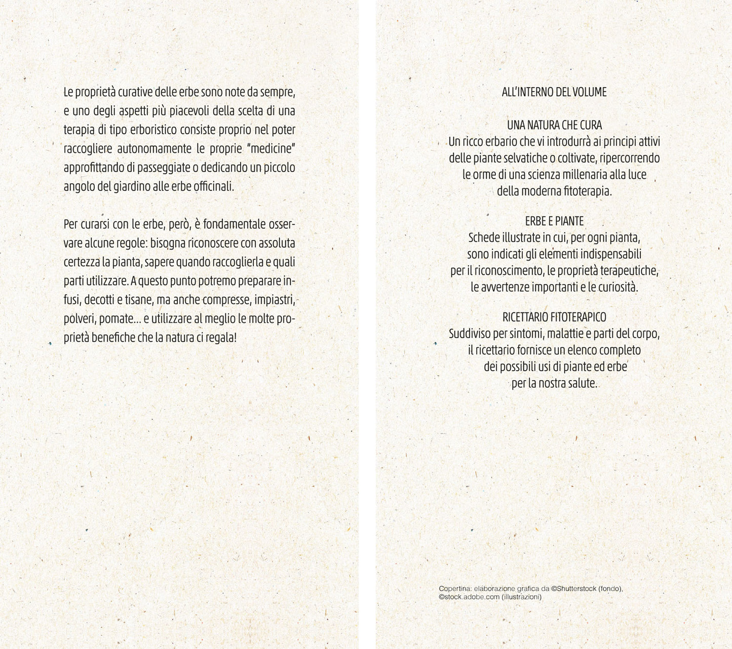 Erbe che curano. Essenze, tisane, unguenti, liquori e il ricettario delle erbe selvatiche